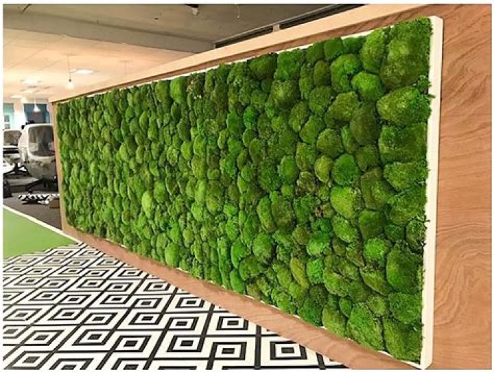 How do you make moss walls