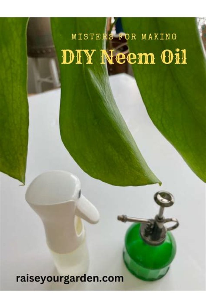 How do you make neem oil spray for plants