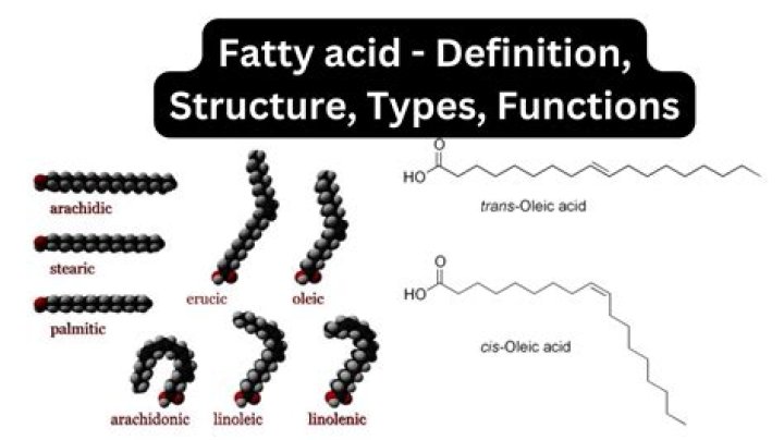 How do you oxidize fatty acids