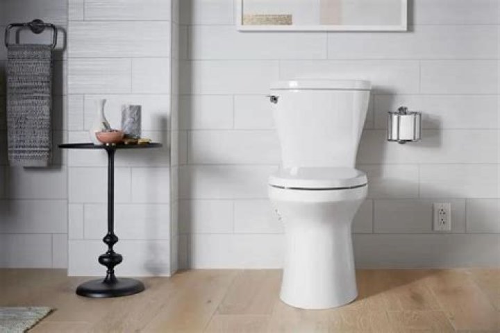 How do you plunge a new Kohler toilet?