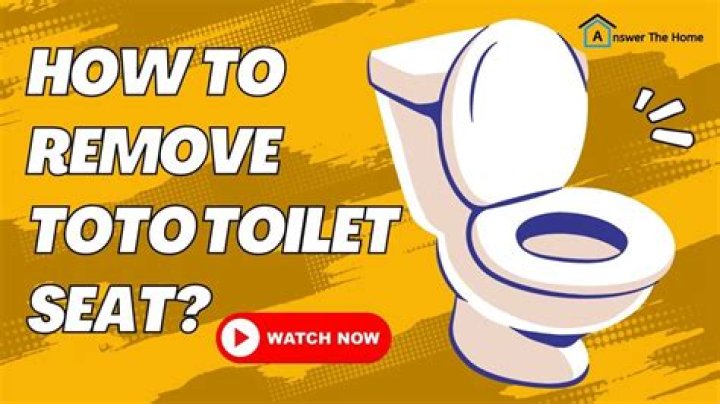 How do you remove a Toto toilet bowl?