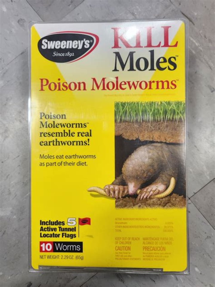 How do you use poison worms for moles