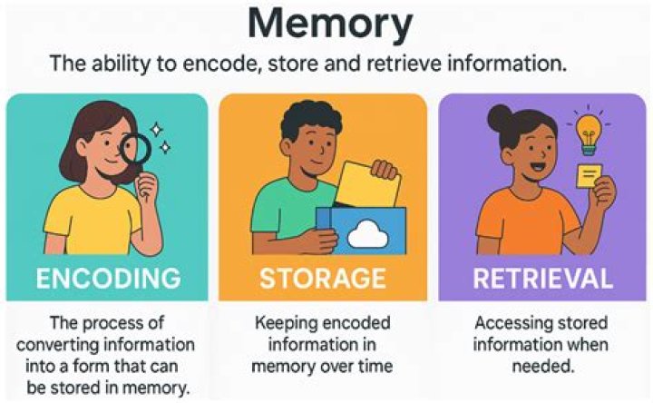How does encoding affect memory storage