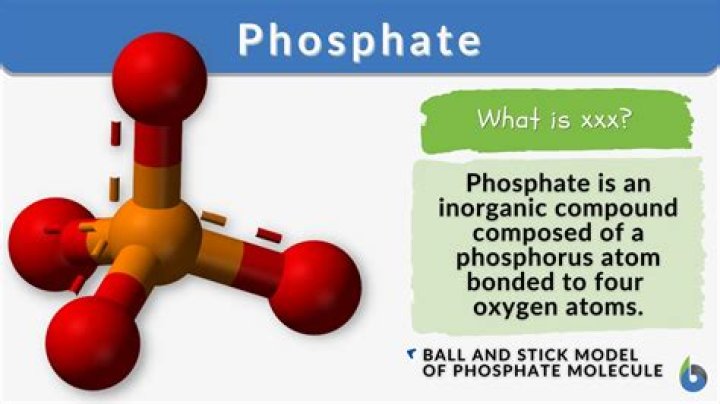 How does iron phosphate kill snails