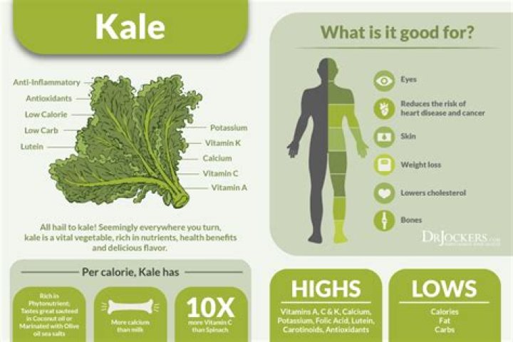 How does Kale help your body