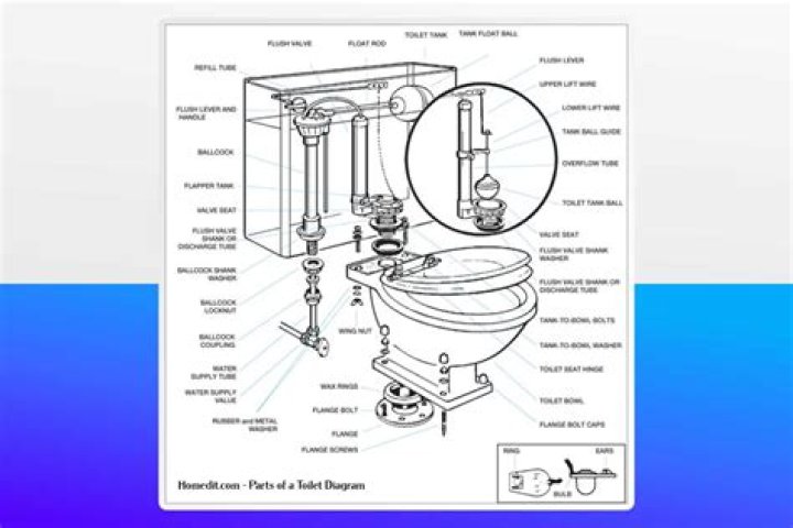 How does the drylock system work on a Kohler toilet?