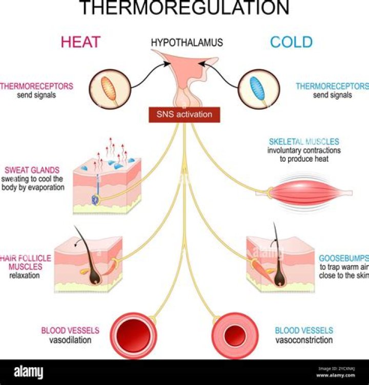 How is heat loss and flow reduced through recirculation?