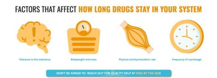 How long does ethambutol stay in your system