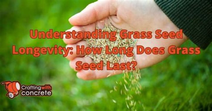 How long does grass seed last