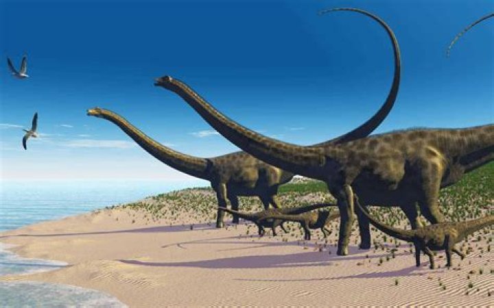 How long is a Diplodocus neck