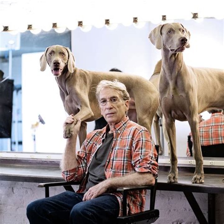 How many dogs does William Wegman have