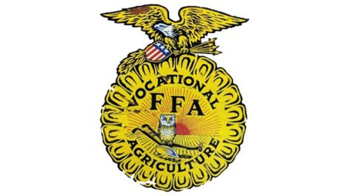 How many symbols are in the FFA emblem