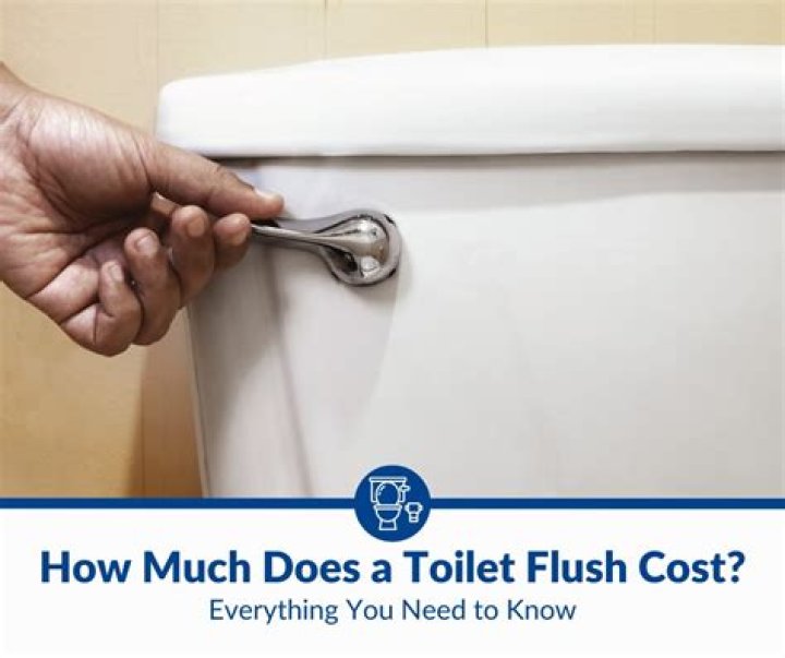 How much does a touchless toilet cost?
