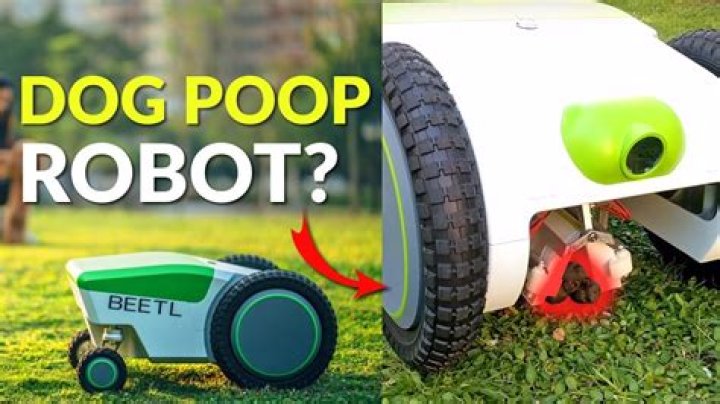 How Much Is The Beetl Dog Poop Robot