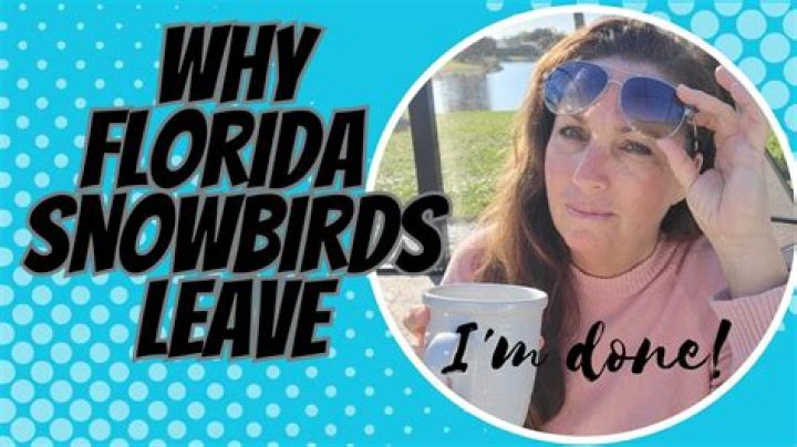 How much money do snowbirds bring to Florida?