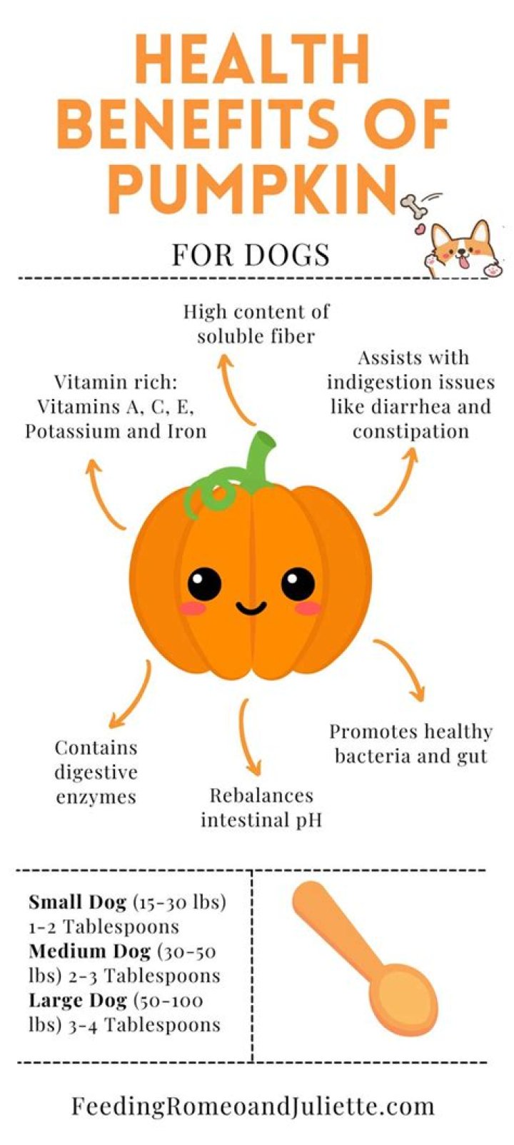 How Much Pumpkin To Give Dog To Calm Down Stomach