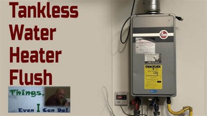 How often do you flush a Rheem tankless water heater?