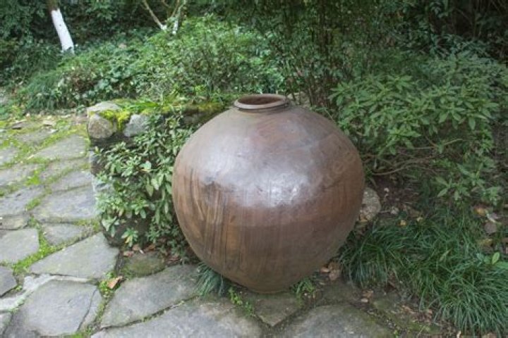 How old is my water tank?