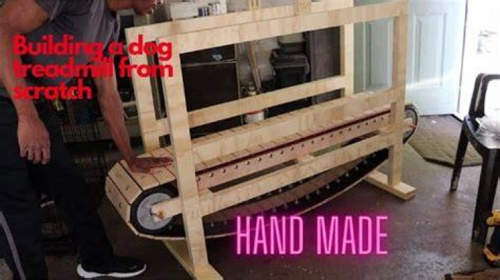 How To Make A Homemade Dog Treadmill