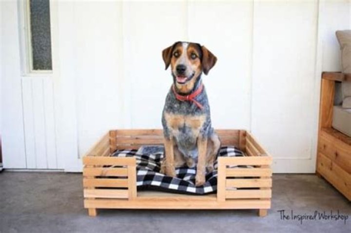 How To Make A Wooden Raised Dog Bed