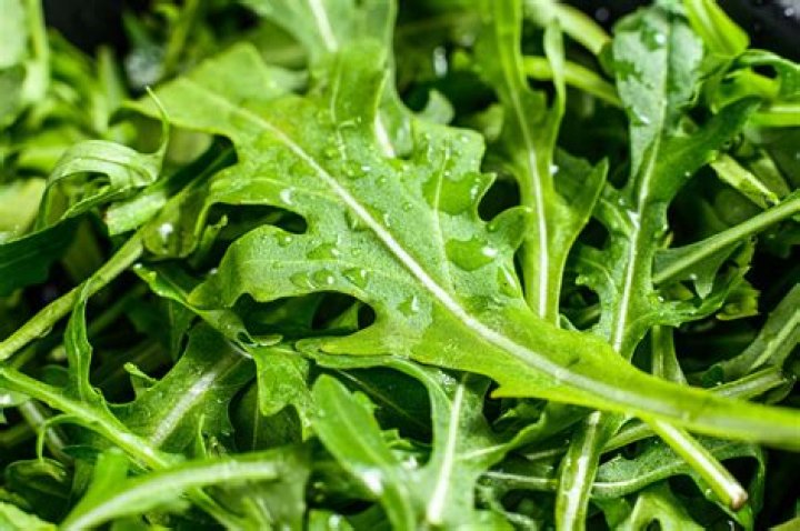 Is Arugula a cruciferous vegetable