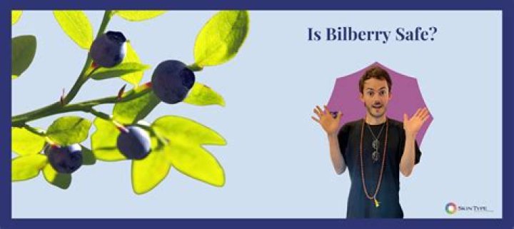 Is Bilberry safe to take