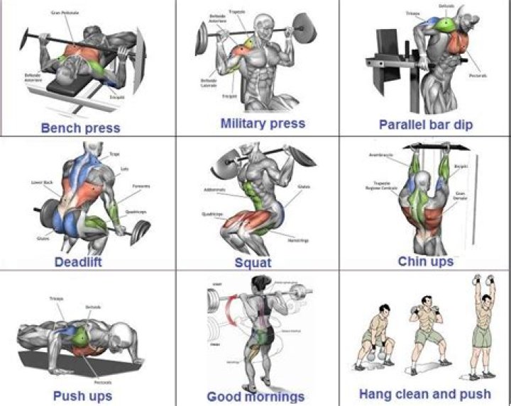 Is exercise necessary to gain weight