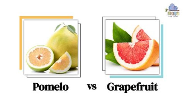 Is grapefruit and pomelo the same