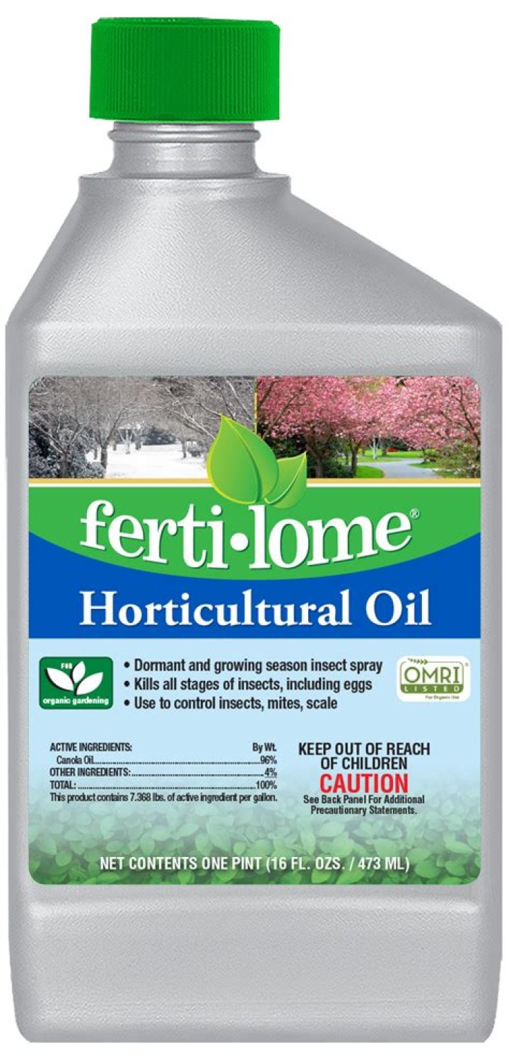 Is horticultural oil toxic