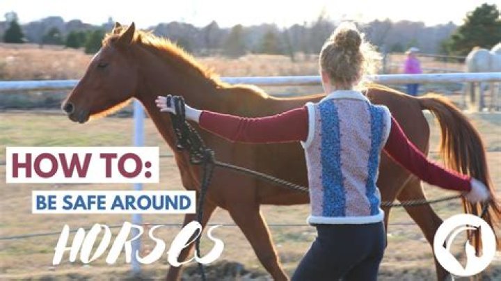 Is Roundup safe around horses