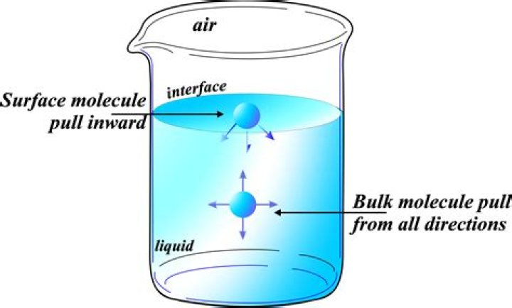 Is surface tension polar or nonpolar