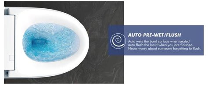 Is the pressure clean flushometer on my Kohler toilet working?