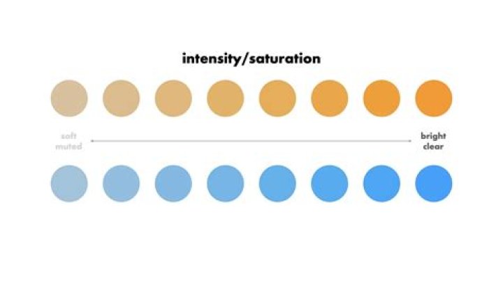Is the purity chroma or intensity of a color
