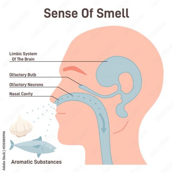 Is the smell of manure harmful