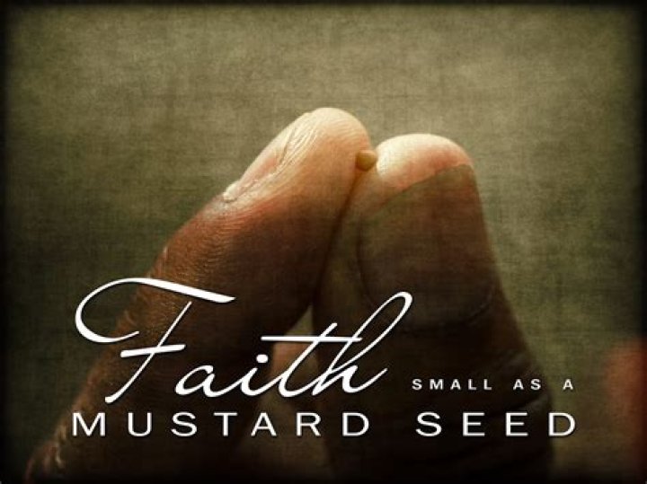 Is there a seed smaller than a mustard seed