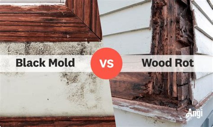 Is wet rot dangerous