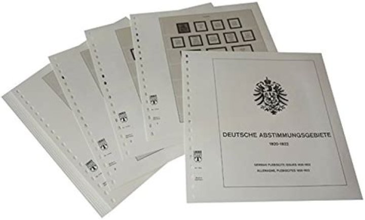 ¿Qué pasó en el año 1920