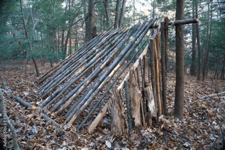 Question: How To Build A Lean To In The Woods