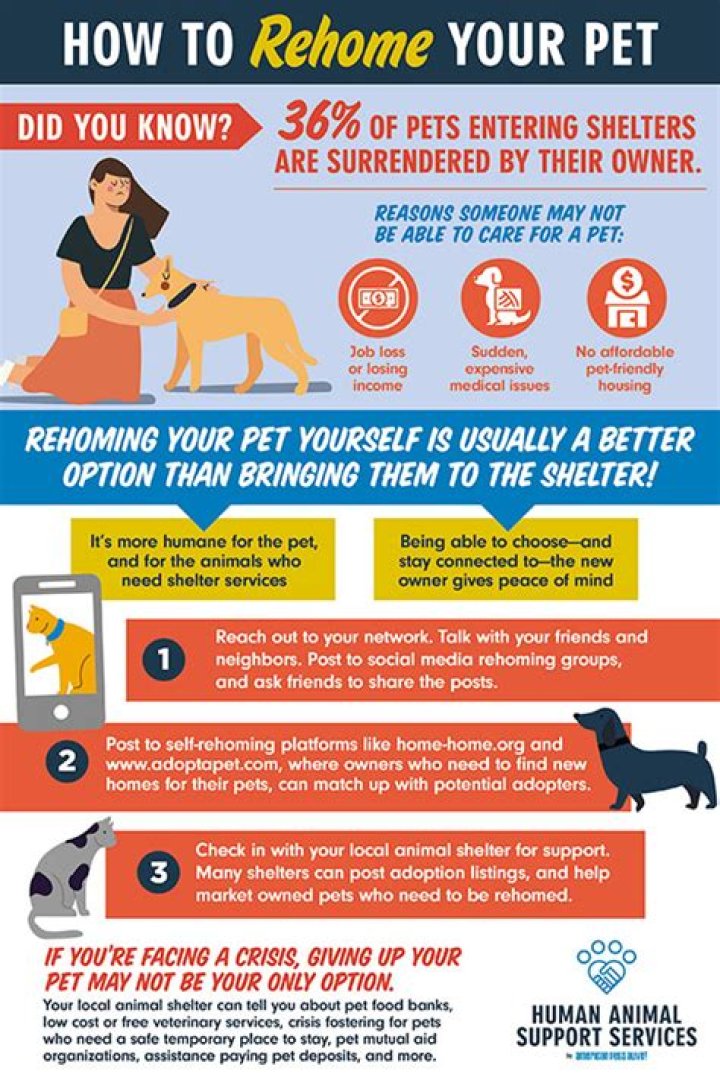 Question: How To Rehome A Dog Fast