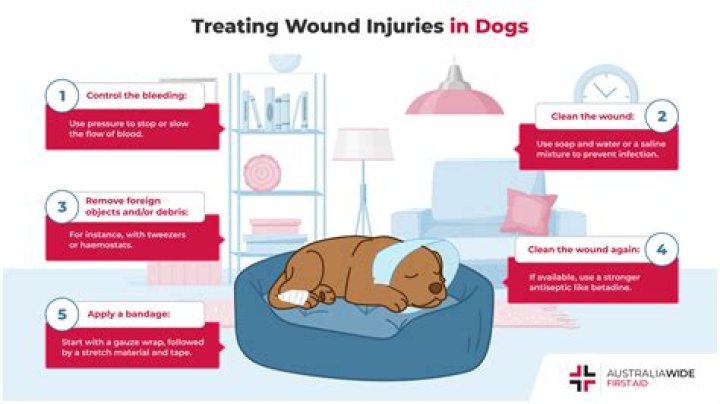 Question: Is Alcohol Safe For Deep Dog Wounds