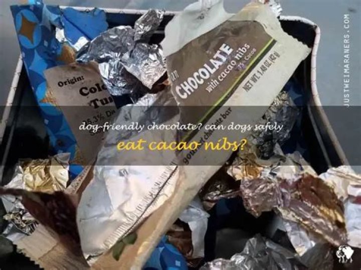 Question: Is Cacao Nibs Safe For Dogs