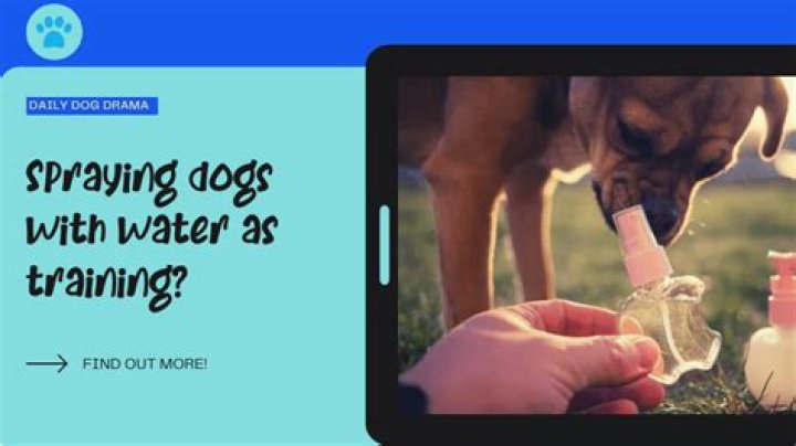 Question: Is Spraying A Dog With Water Abuse