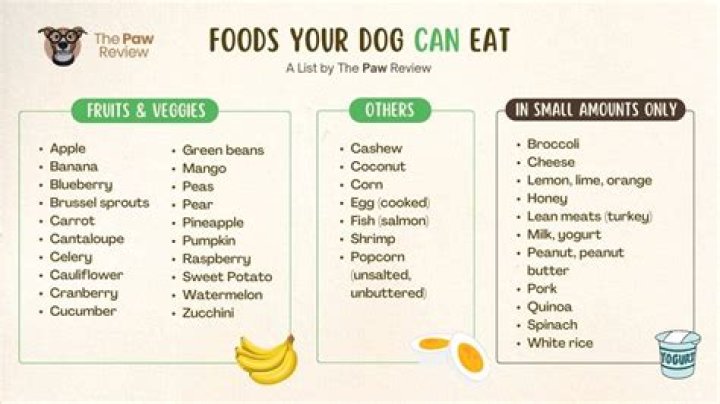 Question: Why Can’t You Feed A Dog Radish