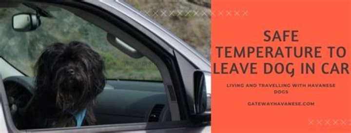 Quick Answer: How Long Leave Dog In Car When Its 60 Degrees