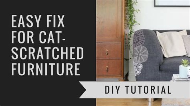 Quick Answer: How To Repair Cat Scratches Wood Furniture
