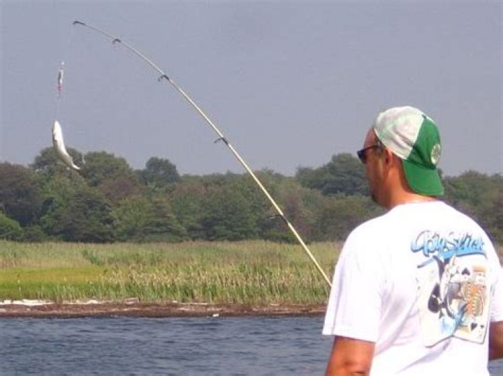 Quick Answer: Where To Go Snapper Fishing On Long Island