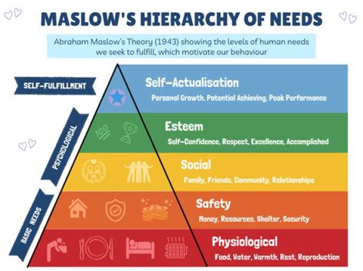 What are aesthetic needs