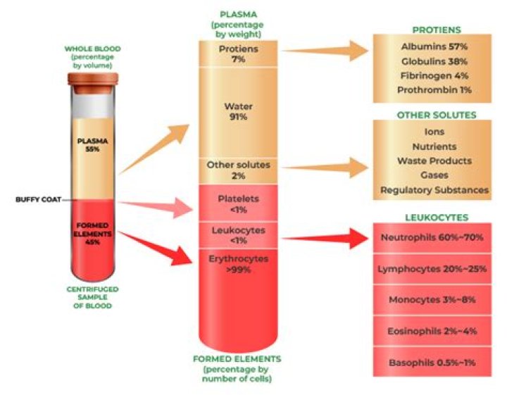 What are characteristics of plasma