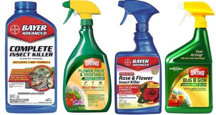 What are chemical insecticides