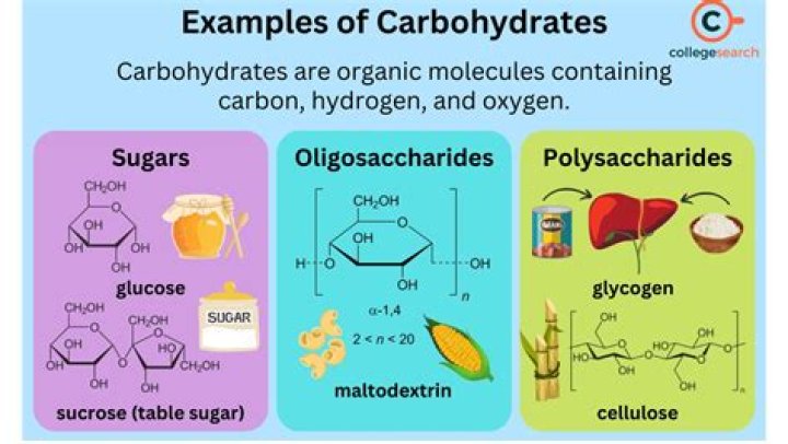 What are digestible and indigestible carbohydrates